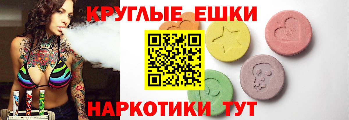 ЭКСТАЗИ Philipp Plein  Экстази  Северск  Вход с VPN 