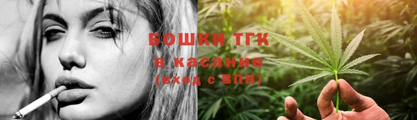 крисы Туринск