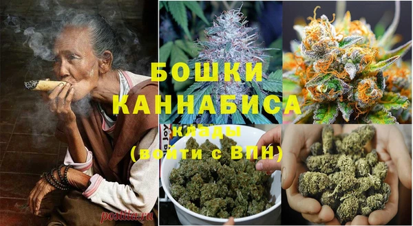 крисы Туринск