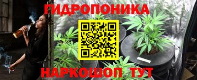 прущие грибы Свободный