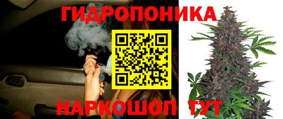 прущие грибы Свободный